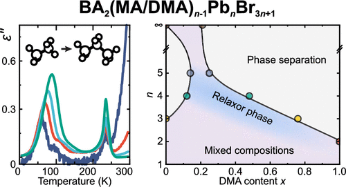 Emergence of a Relaxor Phase and Dimensional Tuning in Mixed 2D Hybrid Perovskites